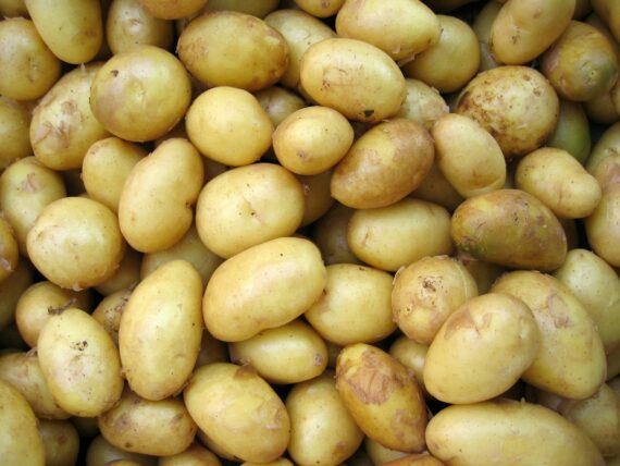 pomme